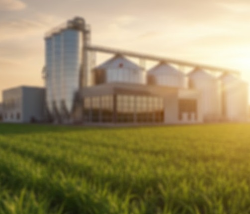 Coffee Export Initiative